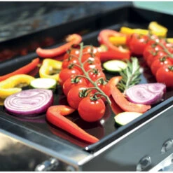 ENO Cook' N Boat Plancha | Gaz -Outwell Soldes eno cook n boat plancha gaz 3